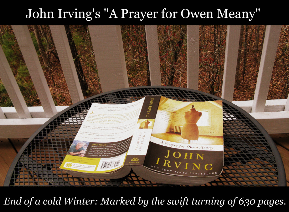 Literary analysis of a prayer for owen meany