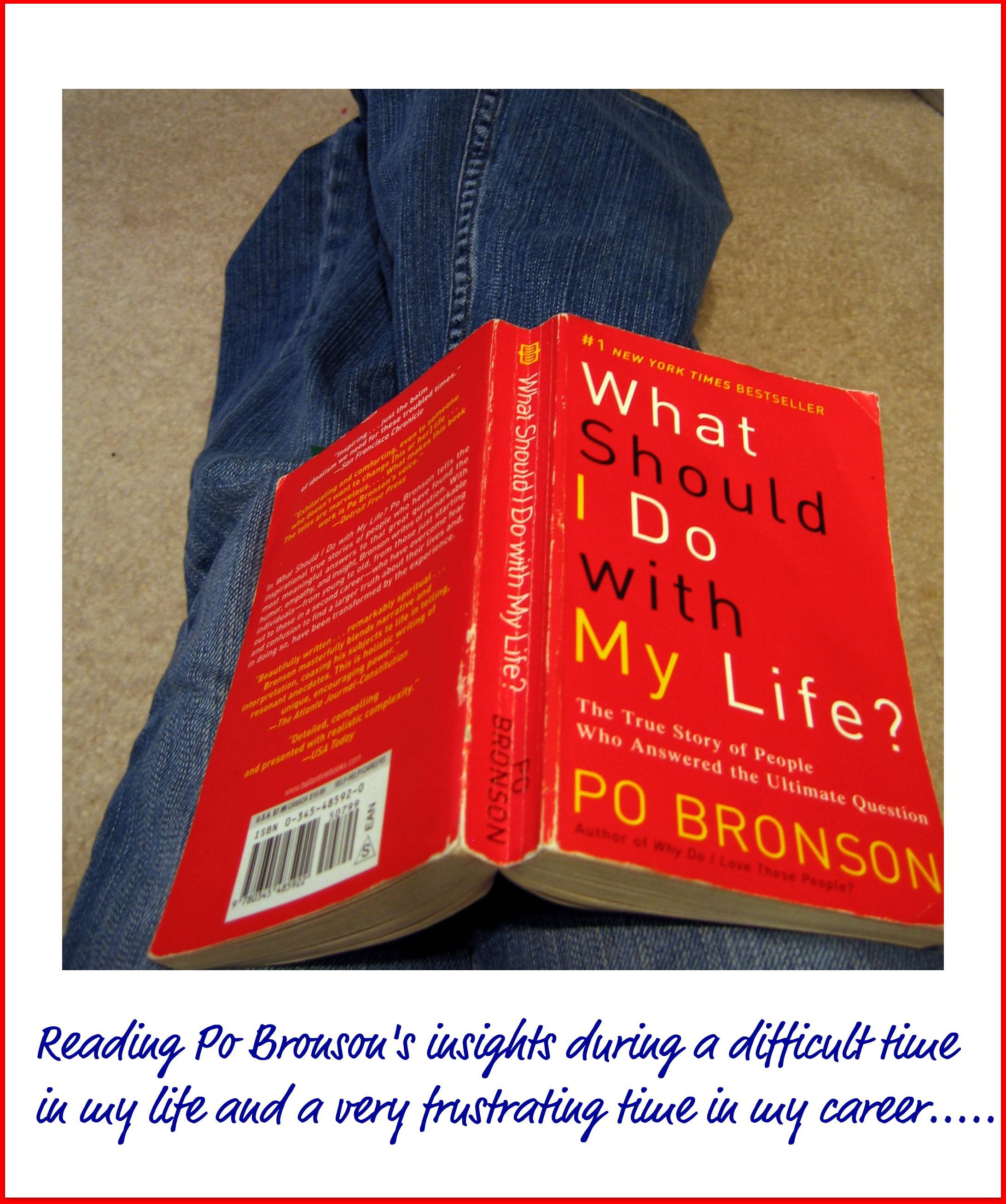 What Should I Do With My Life book by Po Bronson
