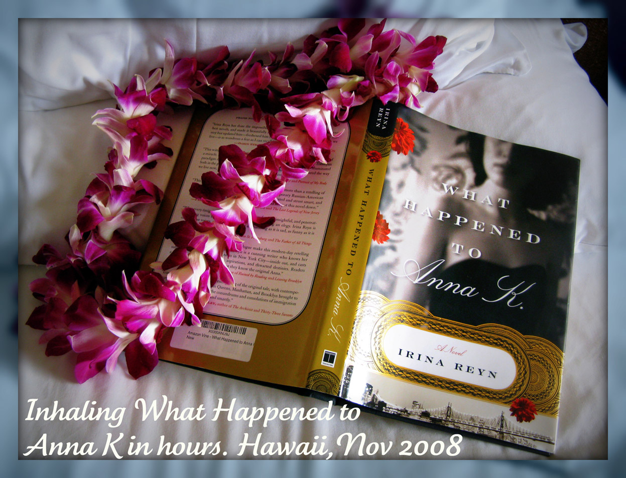 Cover of What Happened to Anna K with a Hawaiian Lei