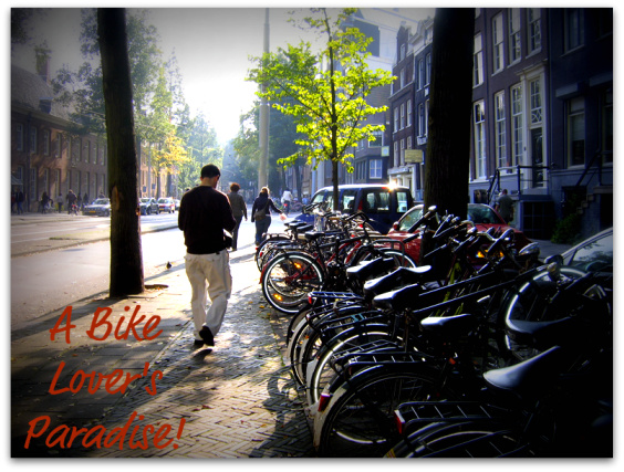 Bike loves paradise