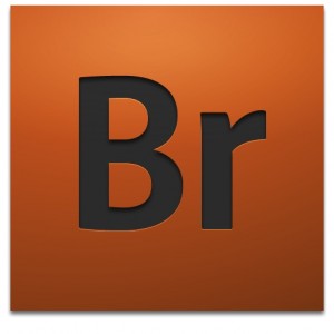 Adobe bridge logo