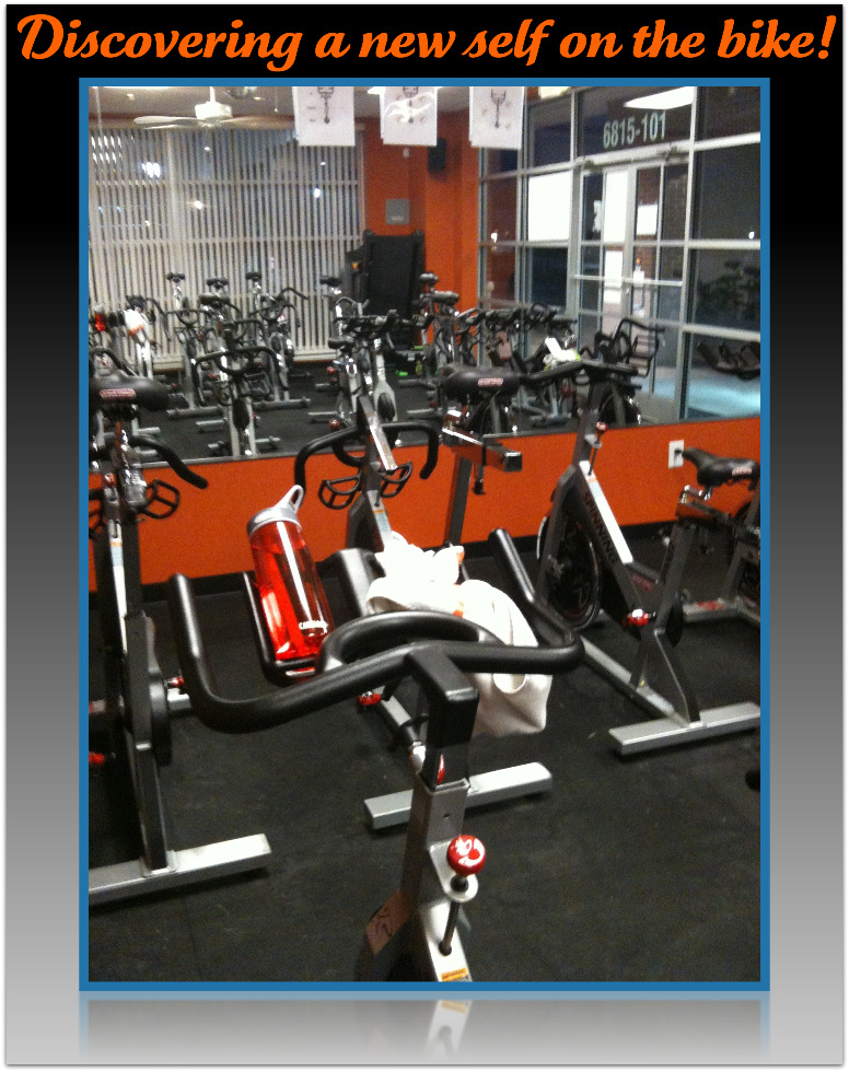 A row of bikes in spinning class