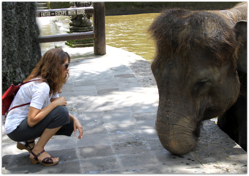 Elephant Reflections in Bali