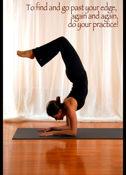 Yoga Practice Pincha Mayurasana