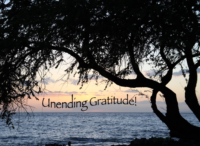 thank you gratitude - taken in maui