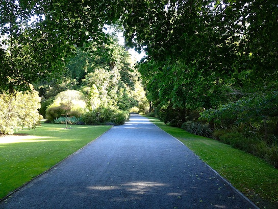 Park_Christchurch_NZ