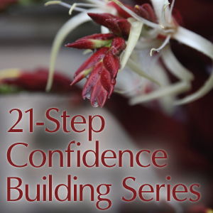Confidence Building Series