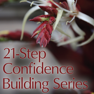 confidence_sidebar_graphic_400