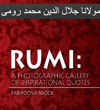 Rumi poetry love
