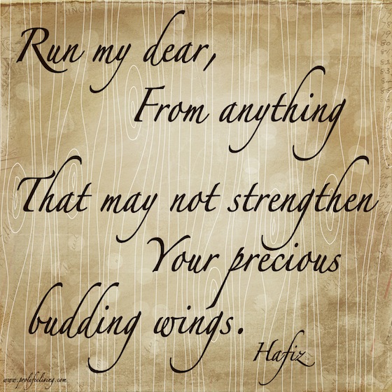 Hafiz-run-my-dear