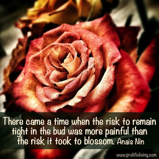 anais-nin-rosebud