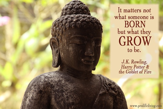 buddha-born-grow-to-be