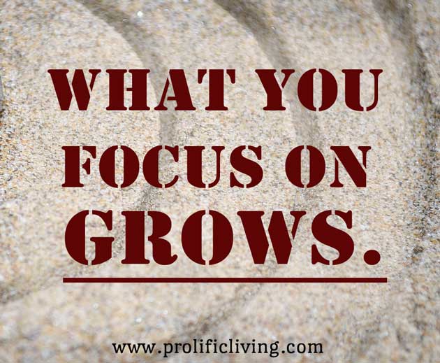 focus-grows