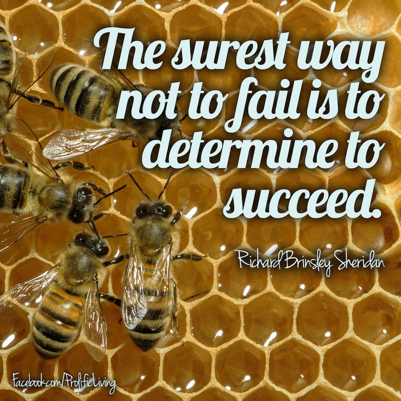 20150401-Poster - The surest way not to fail is