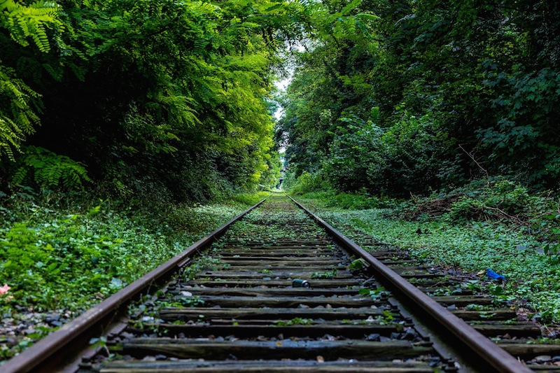 railway-trees